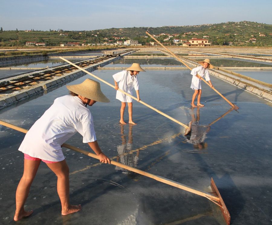 Become a salt harvester for a day